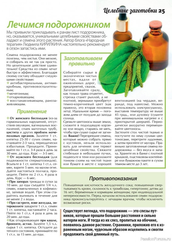 Коллекция кулинарных рецептов в журнале «Сваты. Заготовки №7 2024»