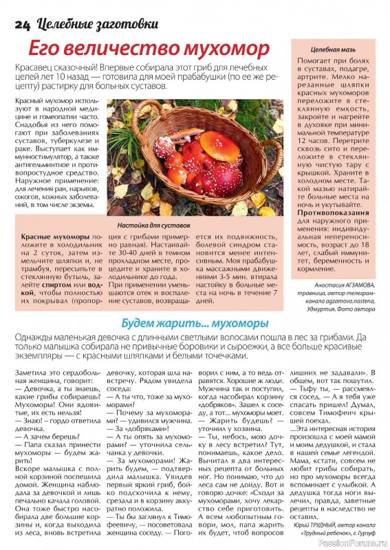 Коллекция кулинарных рецептов в журнале «Сваты. Заготовки №8 2024» Коллекция кулинарных рецептов в журнале «Сваты. Заготовки №8 2024»