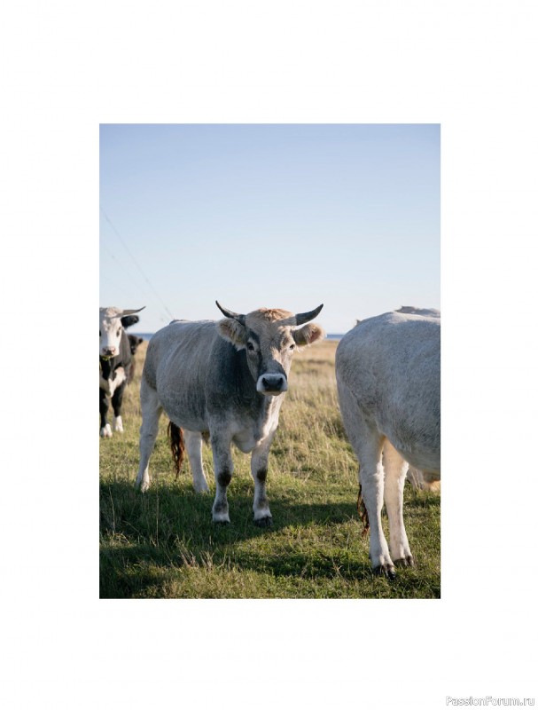 Вязаные проекты в книге &laquo;Traditions Revisited&raquo;. Продолжение