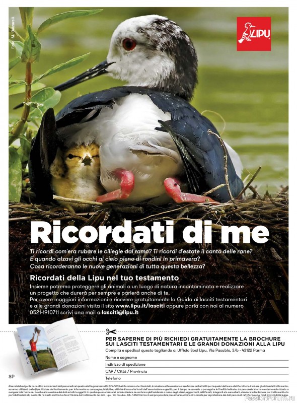 Коллекция проектов для рукодельниц в журнале «Rakam - Dicembre 2025 - Gennaio 2026»