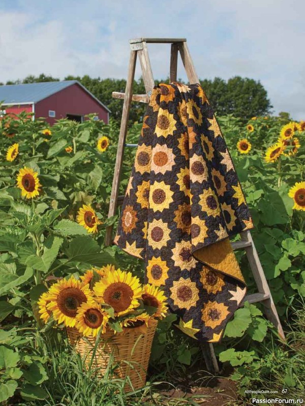 Коллекция проектов для рукодельниц в журнале «American Patchwork & Quilting №201 2026»