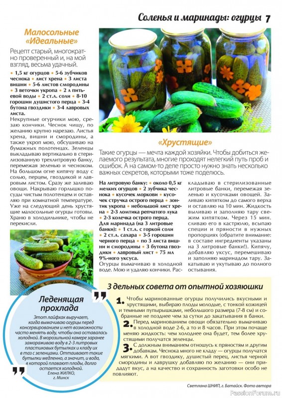 Коллекция кулинарных рецептов в журнале «Сваты. Заготовки №6 2014» Коллекция кулинарных рецептов в журнале «Сваты. Заготовки №6 2014»