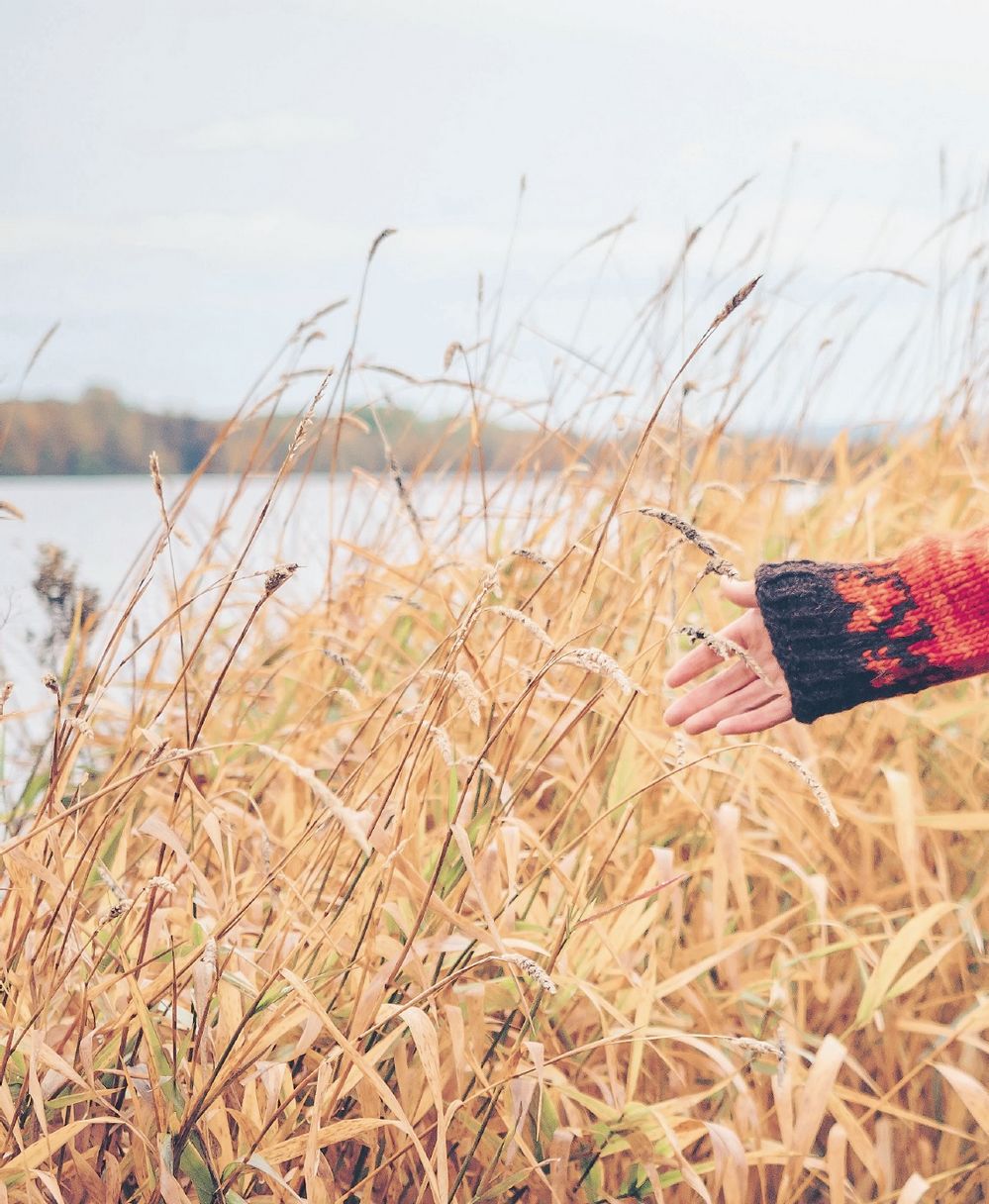 Коллекция вязаных моделей в книге «Icelandic Knits»