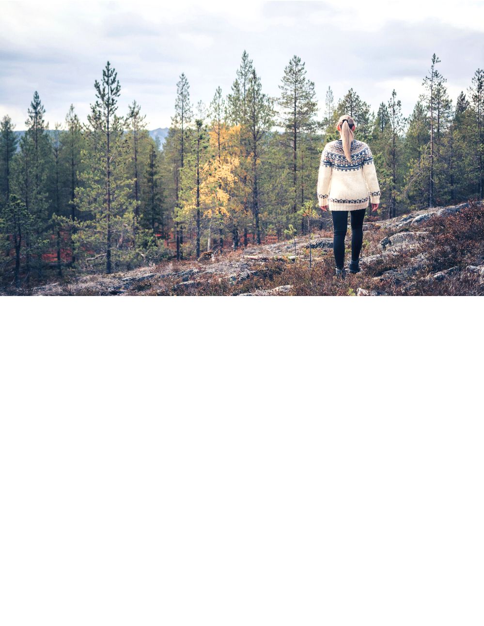 Коллекция вязаных моделей в книге «Icelandic Knits»