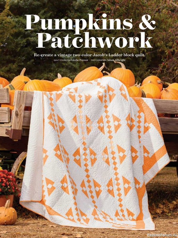 Коллекция проектов для рукодельниц в журнале «American Patchwork & Quilting №201 2026»