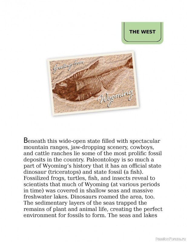 Вязаные проекты в книге «Knitting the U.S.A.». Часть 3