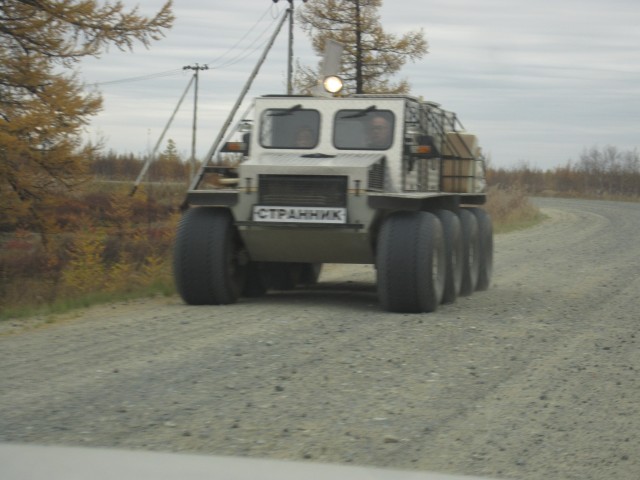 Прогулка в осень...