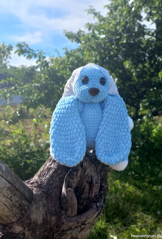 Милые сердцу зайцы