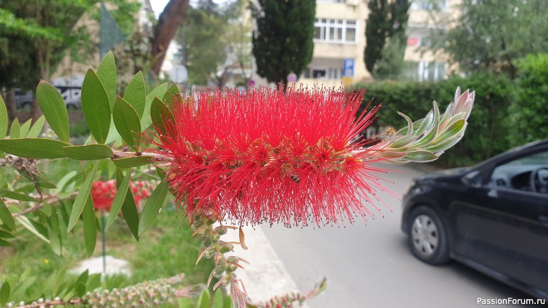 Прогулка по Тивату