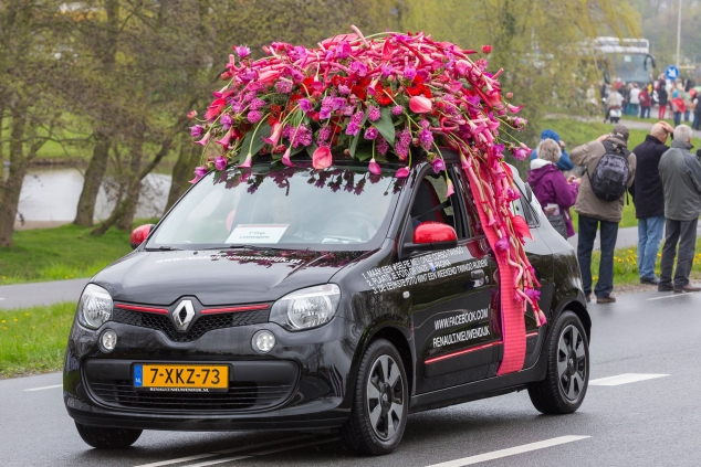 Цветы Голландии (часть 11)
