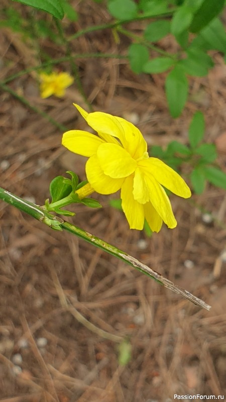 Прогулка по Тивату