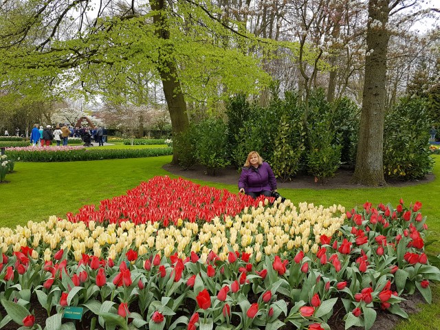 Голландия и её цветы ( часть 2)