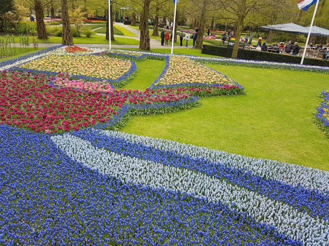 Голландия и её цветы ( часть 2)