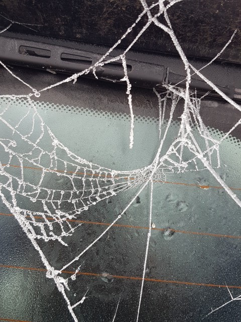 Зимняя фантазия
