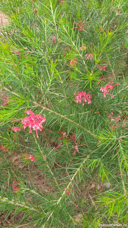 Прогулка по Тивату