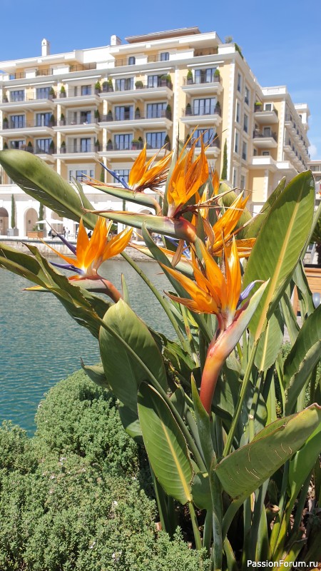 Прогулка по Тивату