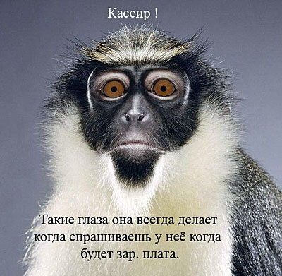 Офисный коллектив