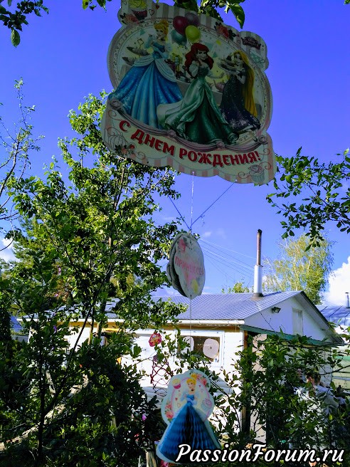 Моя дачная жизнь