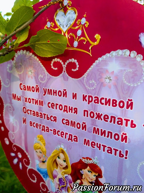 Моя дачная жизнь