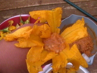 Голубцы с курицей и грибами в формах для маффинов Голубцы с курицей и грибами в формах для маффинов