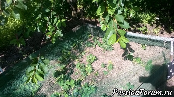 Вот так видно лучше мои погрешности в темных углах. Но зато я вам наглядно демонстрирую как в идеале должно быть . Вот так видно лучше мои погрешности в темных углах. Но зато я вам наглядно демонстрирую как в идеале должно быть .