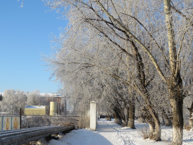 Немного снежности для Пиноккио (Лидия( Мурзилка)