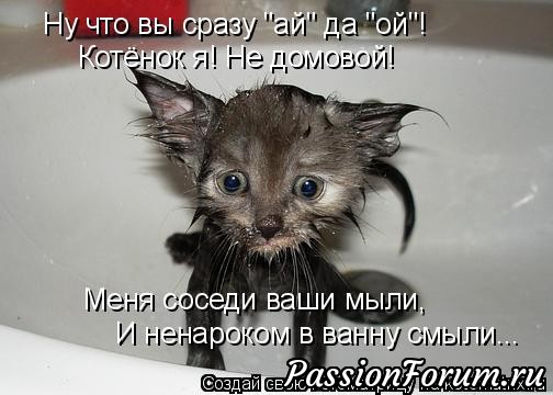 Котэ- домовые)))