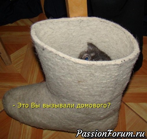 Котэ- домовые)))