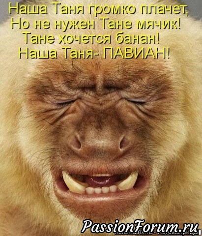 "Пацаны с района"