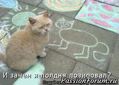 Котейки рулят))