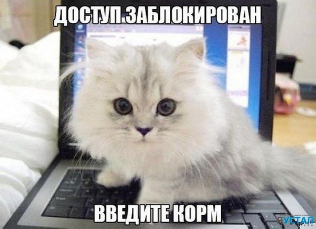 03.05...дождь...+8...жду...