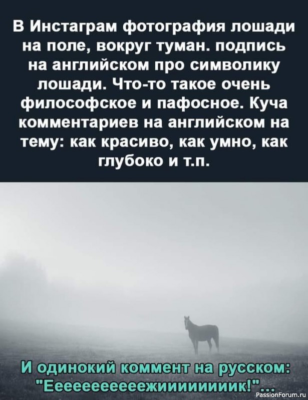 Собачье сердце