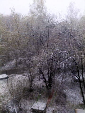 А в Красноярске опять снег