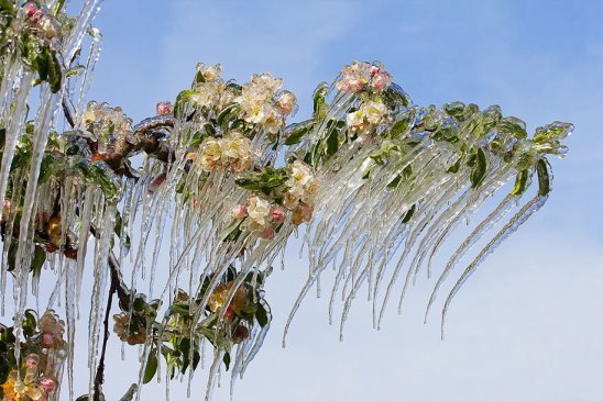 Фото, которые не оставили равнодушной.