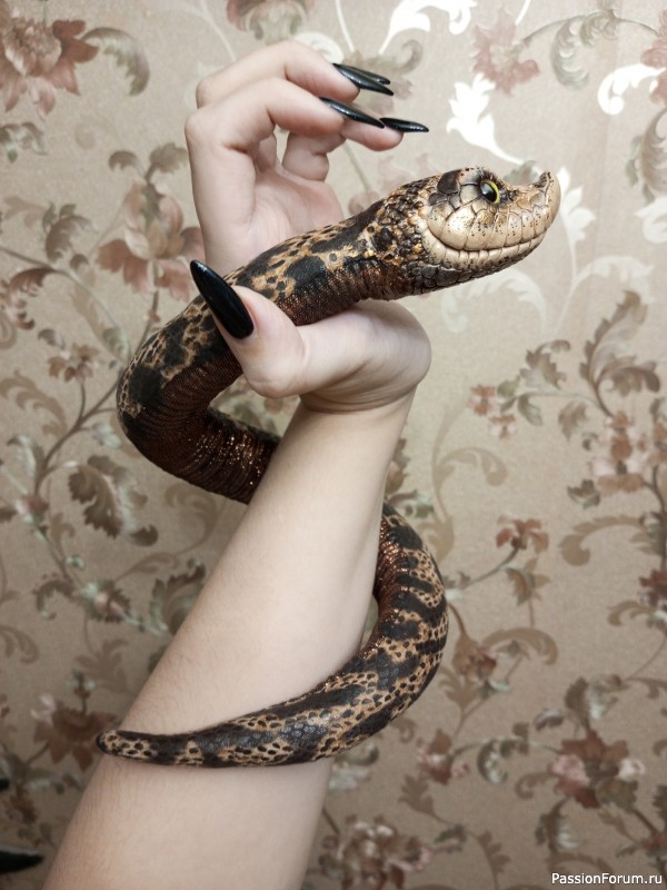 ​Свиноносый ужик