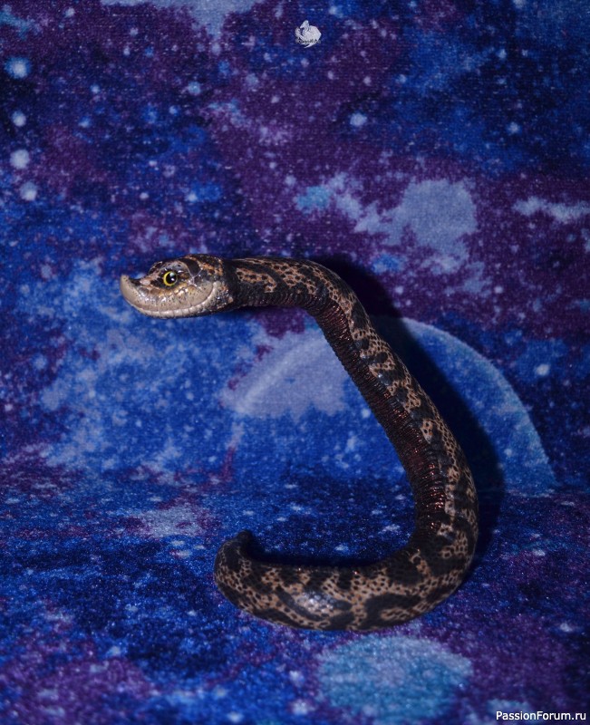 ​Свиноносый ужик