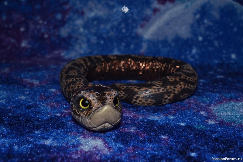 ​Свиноносый ужик