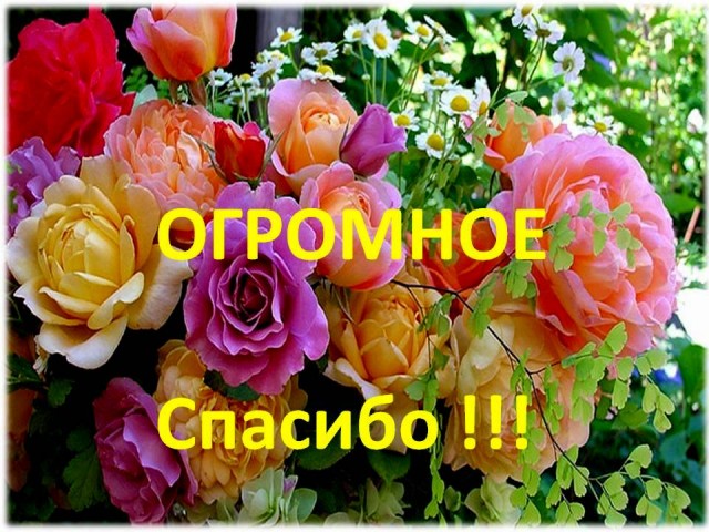 Девочки, делюсь радостью!!!