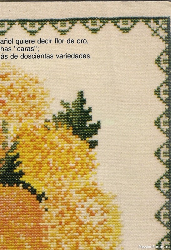B_Tricot 1979-11