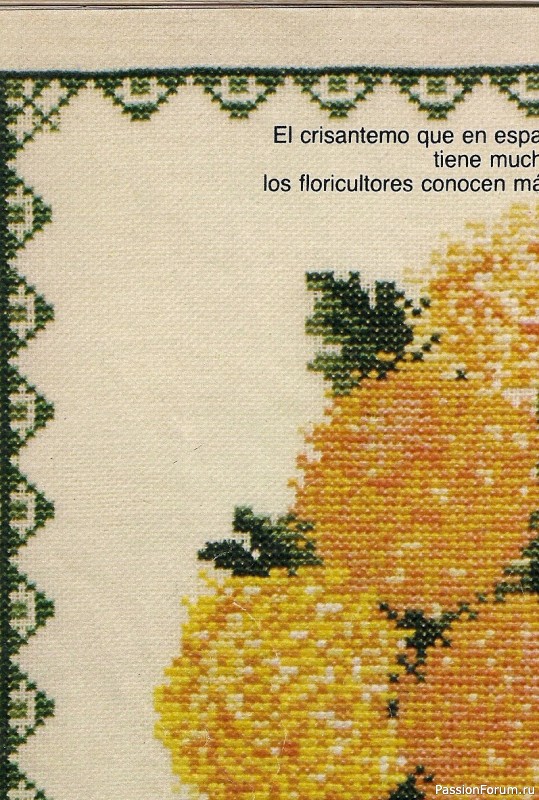 B_Tricot 1979-11