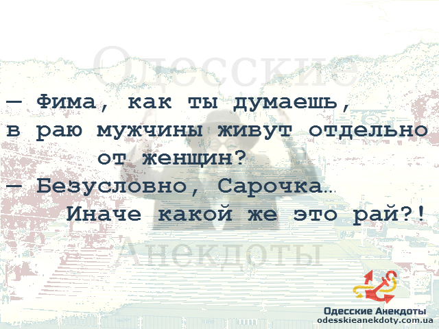 Обо всём понемножку и не забыть про кошку.