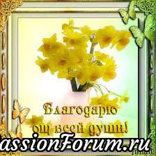 ДЕВОЧКИ! ДОРОГИЕ МОИ ПОДРУГИ! ОТ ВСЕЙ ДУШИ БЛАГО ДАРЮ ВАС ЗА ПРИЯТНЫЕ СЮРПРИЗЫ! ОЧЕНЬ ПРИЯТНО ПОЛУЧИТЬ ПОДАРОК ПРОСТО ТАК! ЖЕЛАЮ ВАМ И ВАШИМ СЕМЬЯМ! МИРА! ЗДОРОВЬЯ! БЛАГОПОЛУЧИЯ! КАК ХОРОШО , ЧТО ВЫ У МЕНЯ ЕСТЬ!!! ДЕВОЧКИ! ДОРОГИЕ МОИ ПОДРУГИ! ОТ ВСЕЙ ДУШИ БЛАГО ДАРЮ ВАС ЗА ПРИЯТНЫЕ СЮРПРИЗЫ! ОЧЕНЬ ПРИЯТНО ПОЛУЧИТЬ ПОДАРОК ПРОСТО ТАК! ЖЕЛАЮ ВАМ И ВАШИМ СЕМЬЯМ! МИРА! ЗДОРОВЬЯ! БЛАГОПОЛУЧИЯ! КАК ХОРОШО , ЧТО ВЫ У МЕНЯ ЕСТЬ!!!