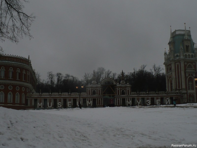 Зимняя прогулка по парку Царицыно.