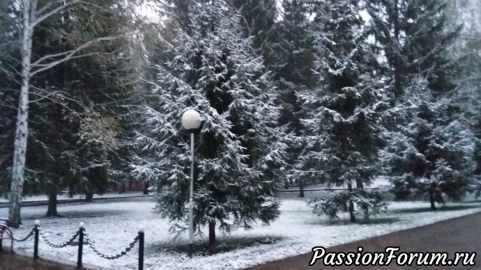 Осень в Красноусольске или Всем в лес!