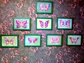 Моя коллекция бабочек