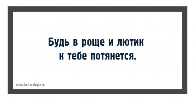 Съедобные растения дикой природы