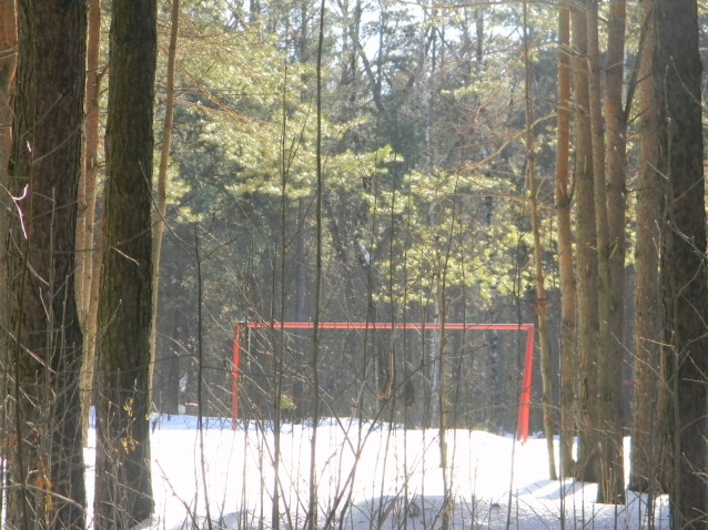 Поздравления с наступлением весны!!!!