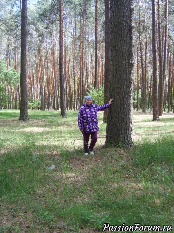 Прогулка по лесу.