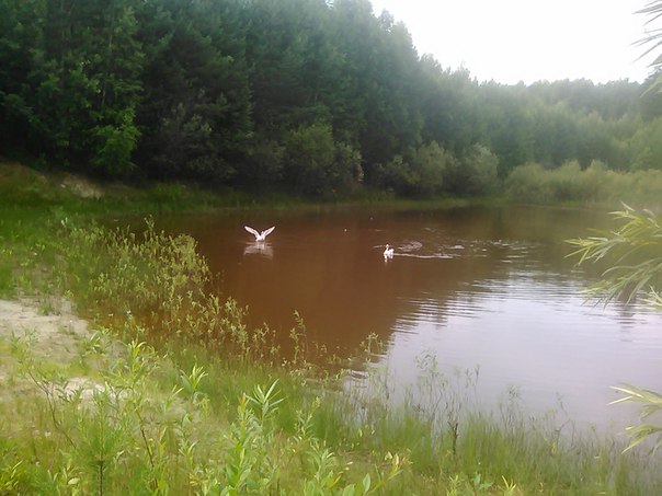 Знакомьтесь, мои стихи