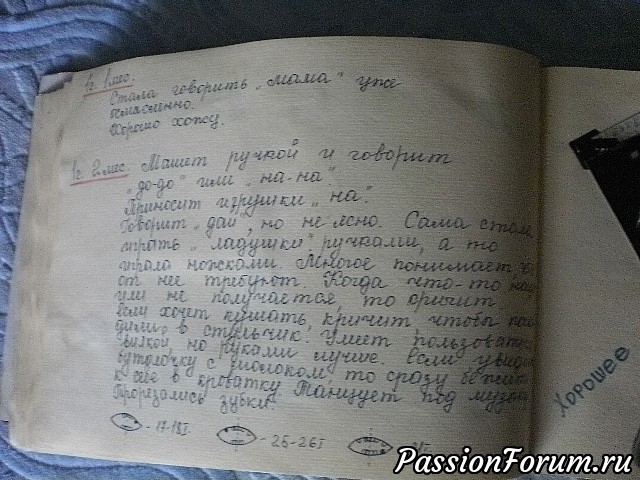 Что умеем. Что умеем.